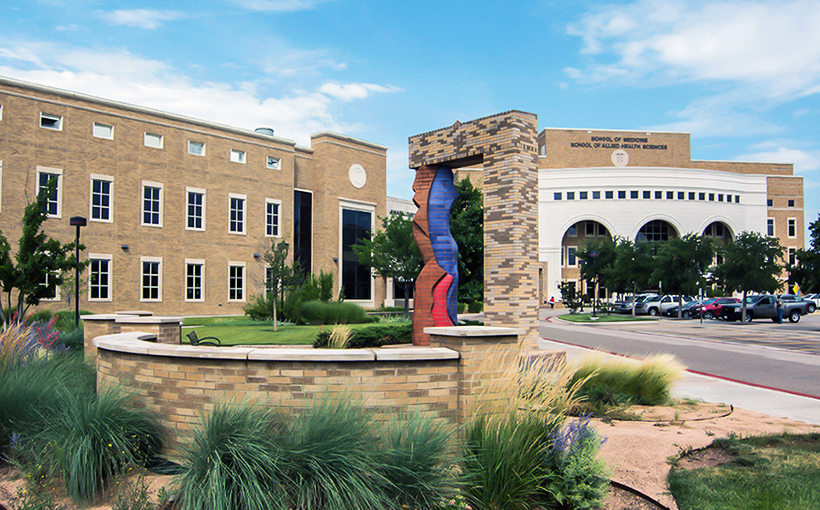 Amarillo Says “Yes” to School of Veterinary Medicine - Connect CRE