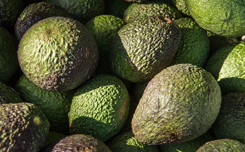 Construction Begins on Avocado Warehouse - Connect CRE